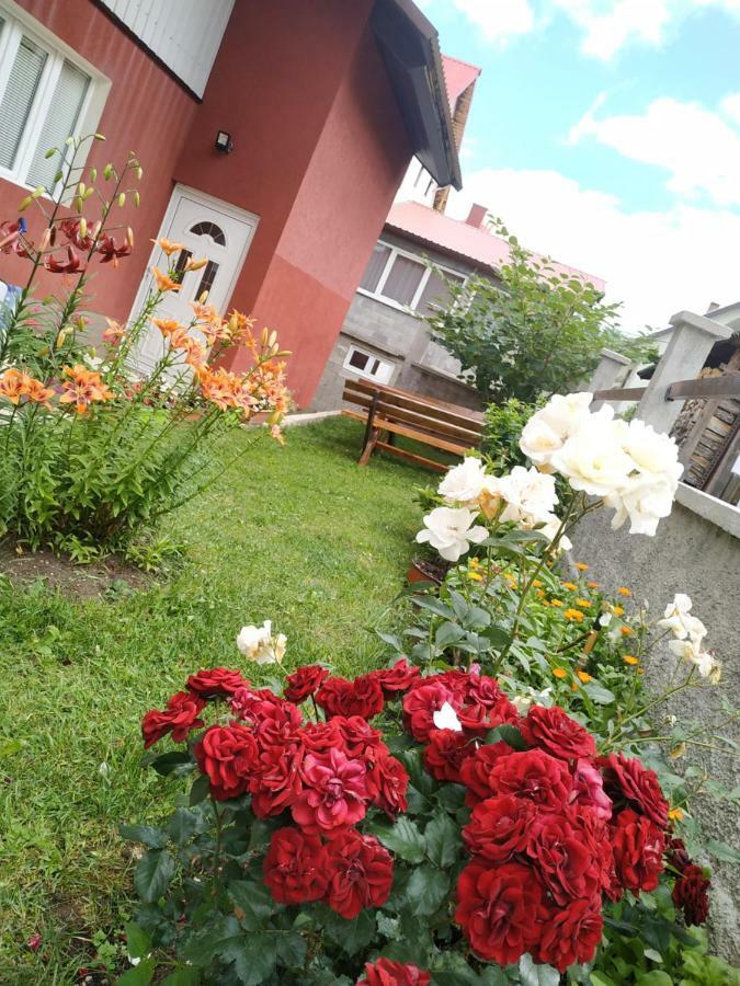 Apartments Bozovic 자블야크 외부 사진