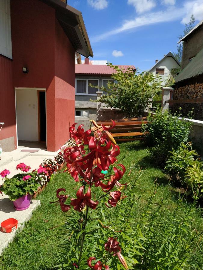 Apartments Bozovic 자블야크 외부 사진
